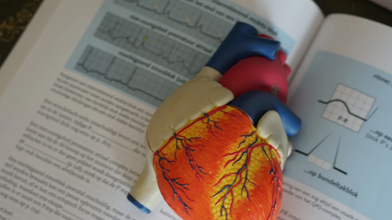 Experto explica cómo mejorar la salud del corazón, incluso si su familia tiene historia de enfermedad cardíaca