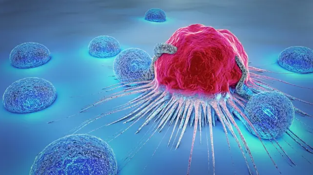 Investigadores crean avatares tumorales que prueban nuevos tratamientos contra el cáncer de ojo
